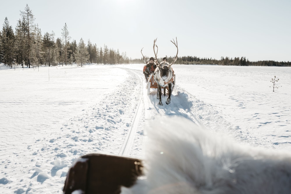 lapland hotels riekonlinna