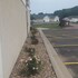 bilmar inn and suites dell rapids