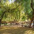 mendoza