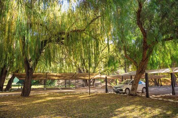 mendoza