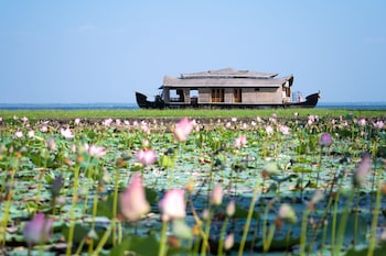 ama stays and trails pathiramanal villa alappuzha