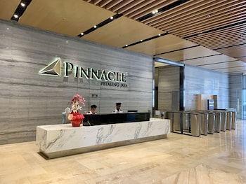 ginger8 pinnacle pj