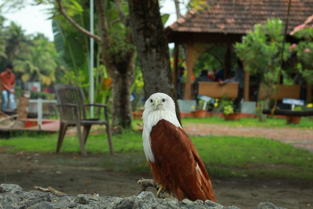 the lake resort by maat hotels