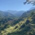 rivas