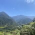 rivas