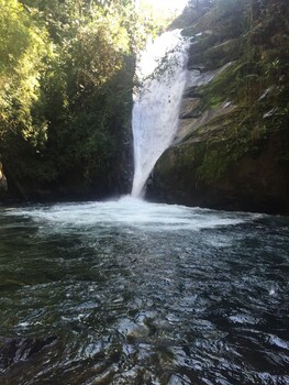 rivas