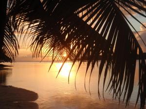 erakor island resort and spa