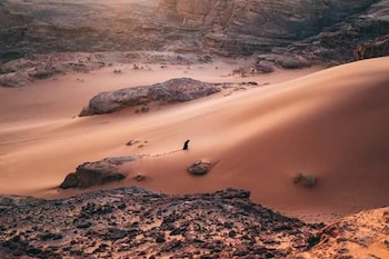 wadi rum echo camp