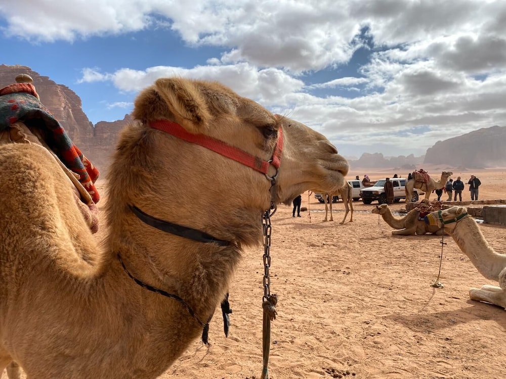wadi rum echo camp