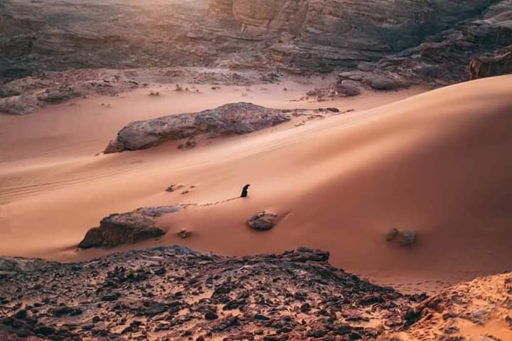 wadi rum echo camp