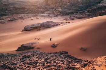 wadi rum echo camp