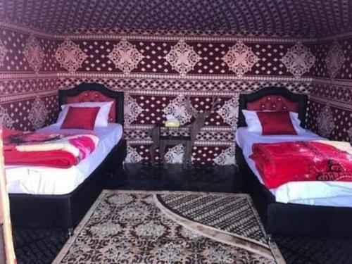 wadi rum echo camp