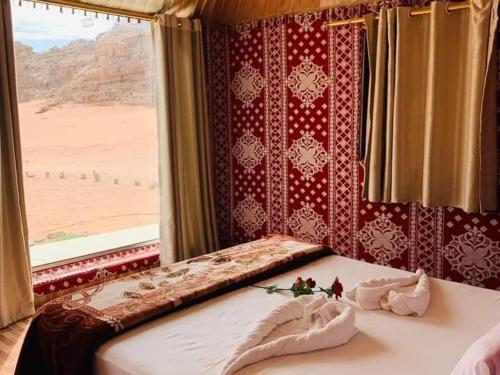 wadi rum echo camp