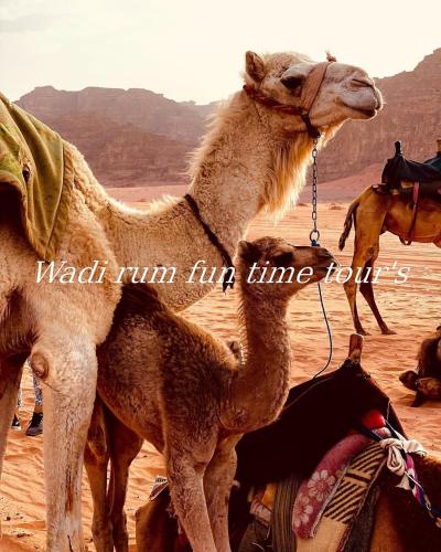wadi rum
