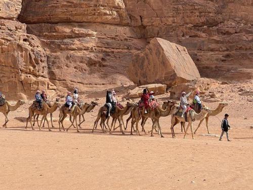 wadi rum echo camp