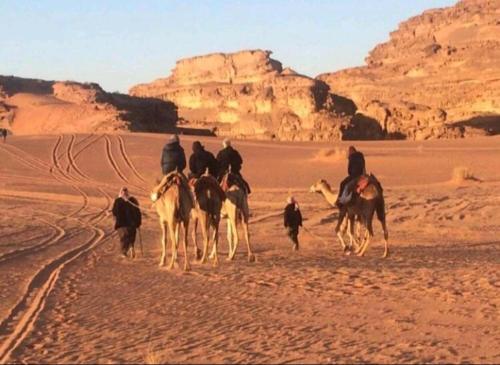 wadi rum echo camp