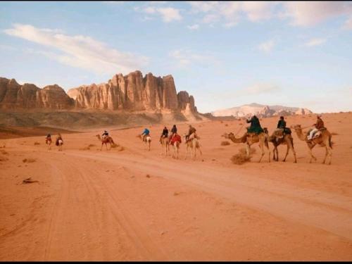 wadi rum echo camp