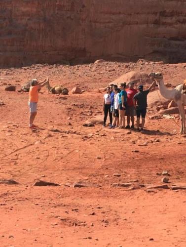 wadi rum echo camp