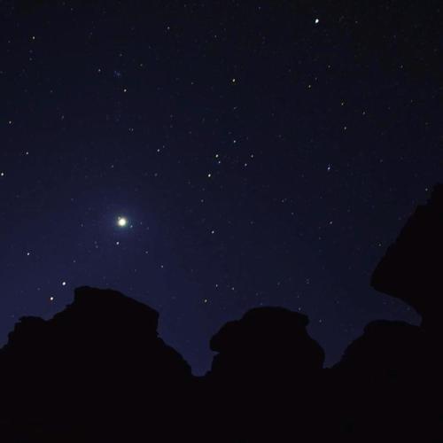 wadi rum echo camp