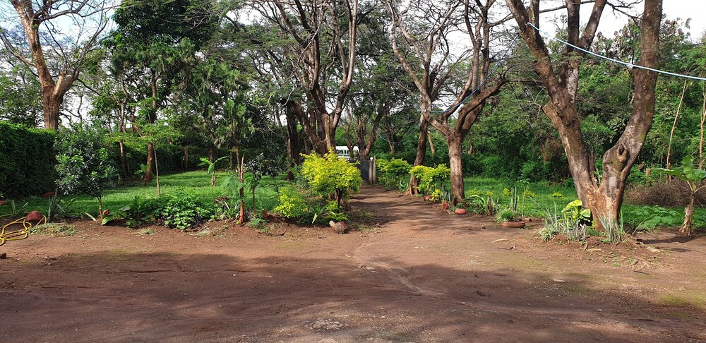 kahe
