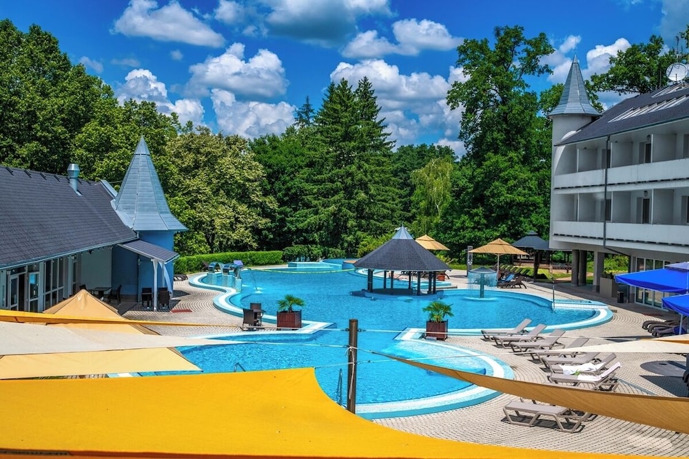 ambient hotel and aromaspa sikonda