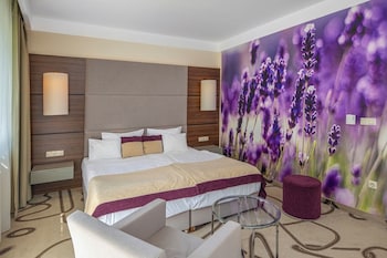ambient hotel and aromaspa sikonda