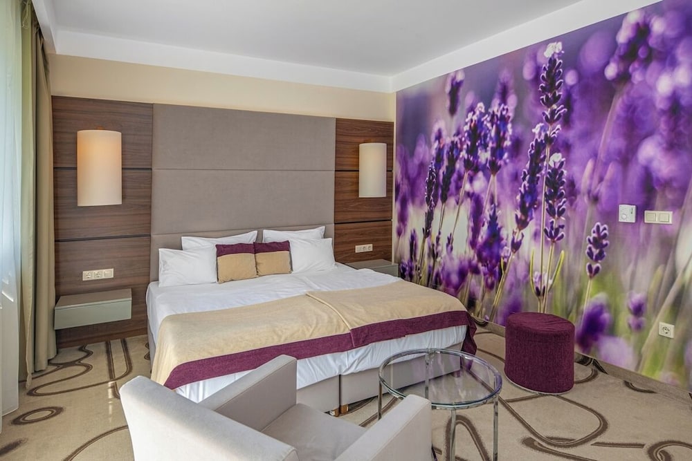 ambient hotel and aromaspa sikonda