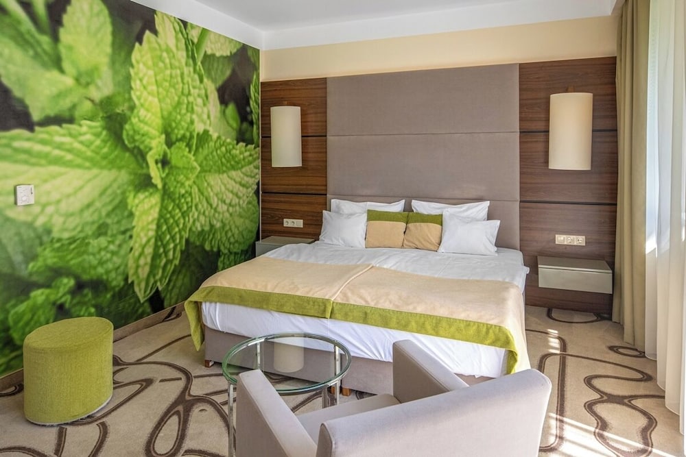ambient hotel and aromaspa sikonda