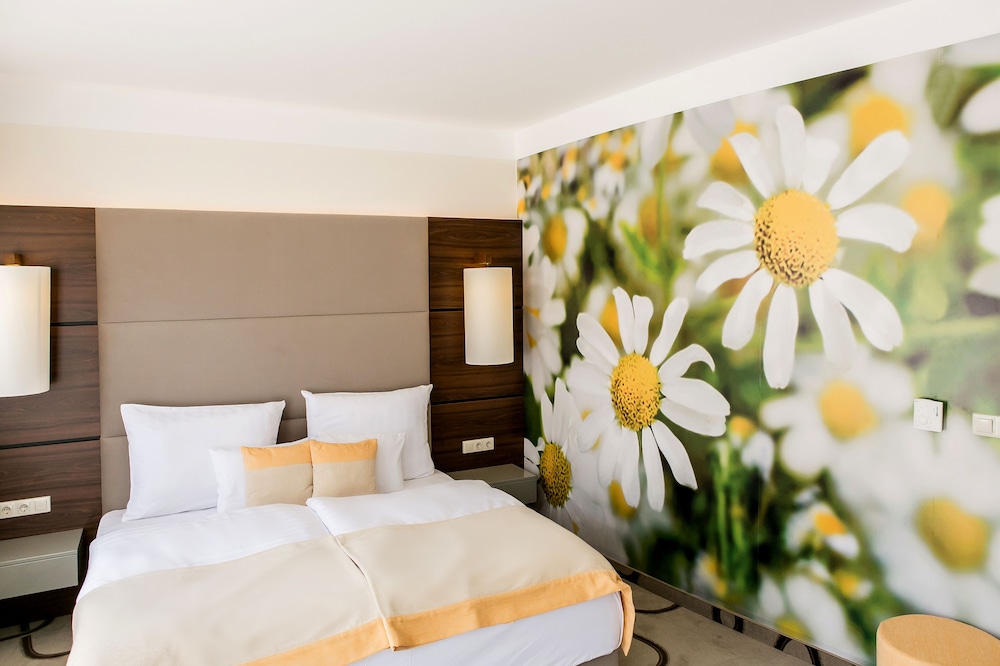 ambient hotel and aromaspa sikonda