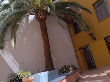 el oasis de los martires