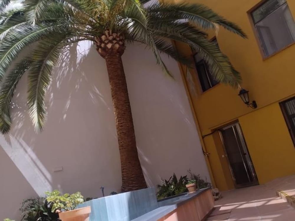 el oasis de los martires