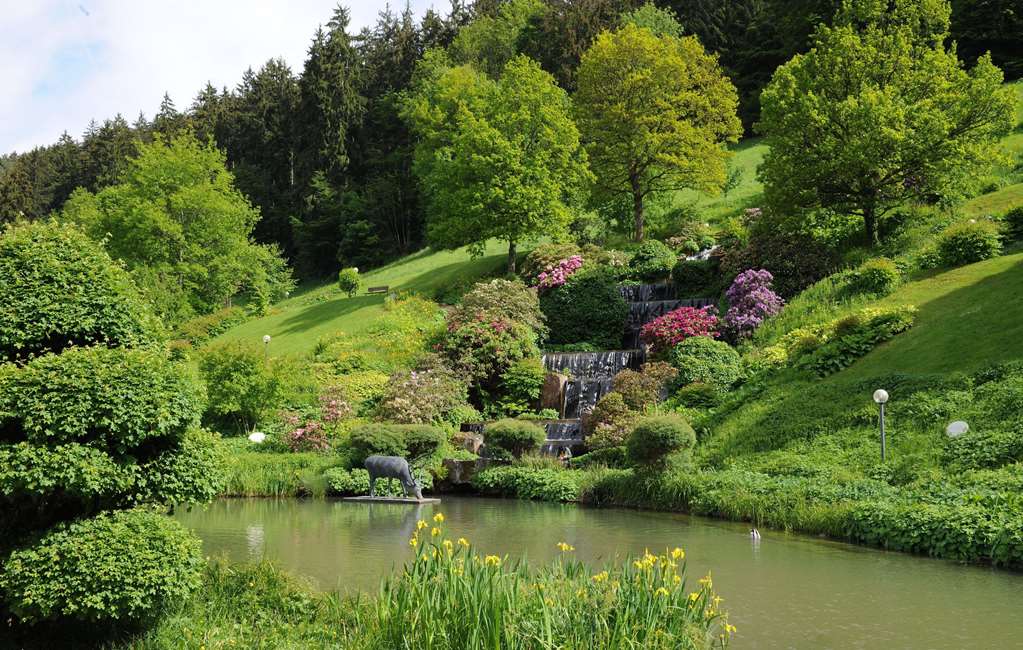 bad teinach zavelstein