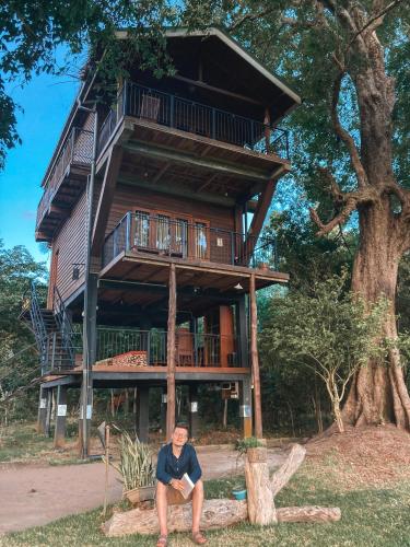 wilpattu tree house