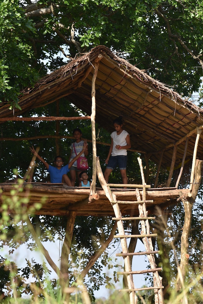 wilpattu tree house