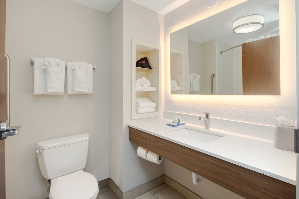 holiday inn express and suites orlando apopka