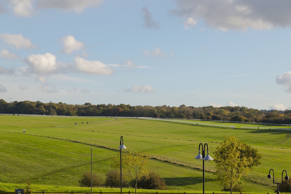 holiday inn express london epsom downs by ihg