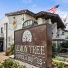 lemon tree hotel and suites anaheim