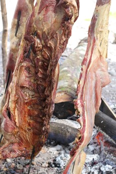 hotel campestre mastranto