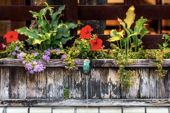 hotel pepper tree boutique kitchen studios anaheim