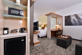 Springhill Suites By Marriott Irvine,Irvine>>Costa Mesa,3 star