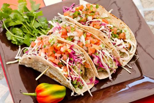 hollywood beach suites