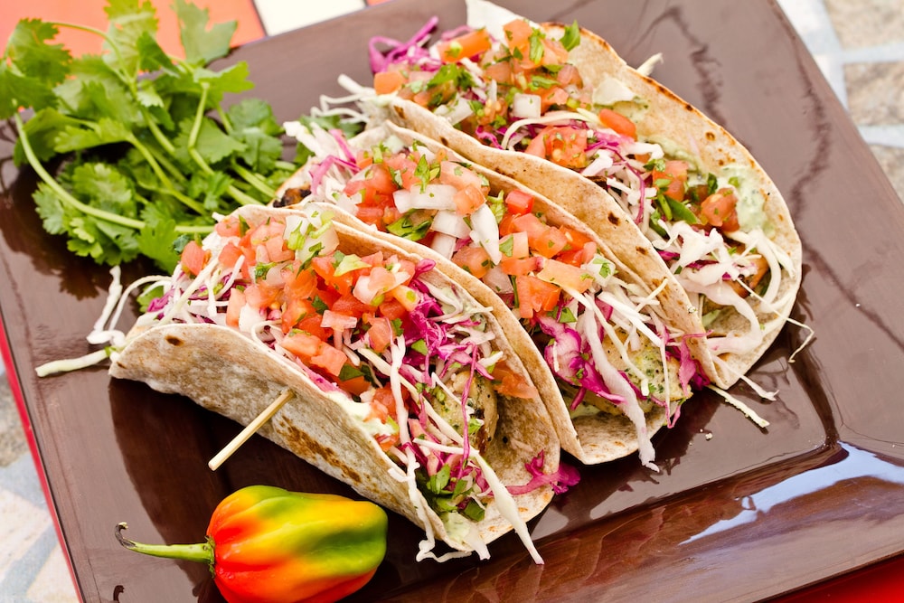 hollywood beach suites