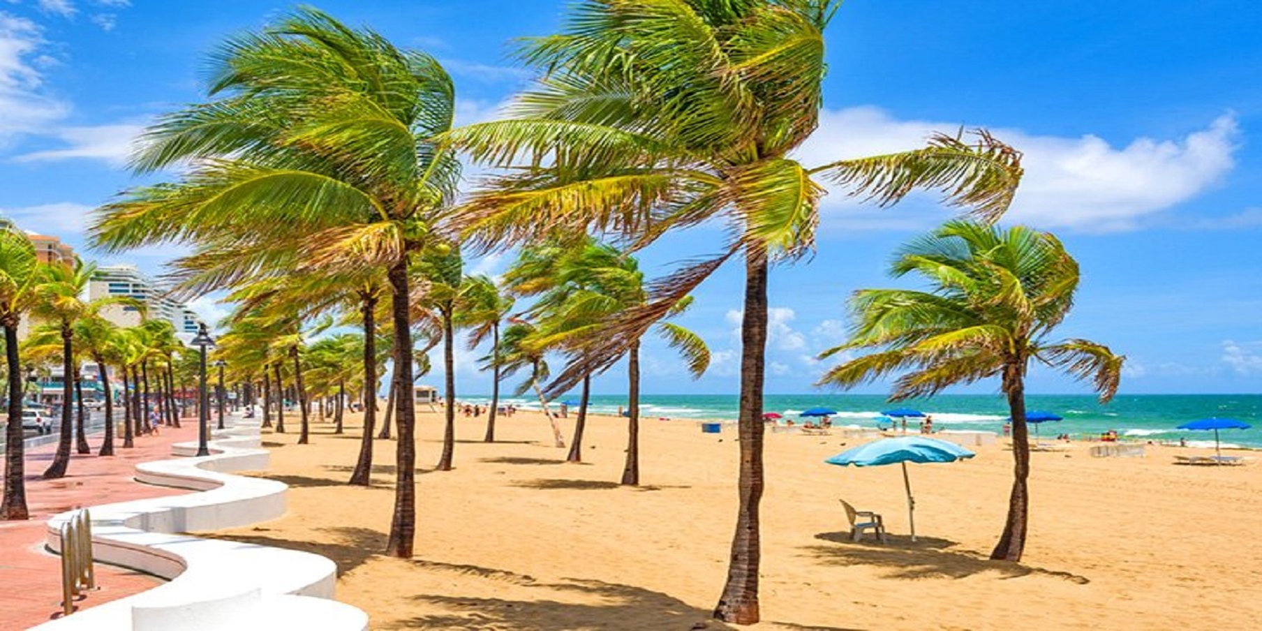 crowne plaza hotel fort lauderdale airport cruiseport by ihg