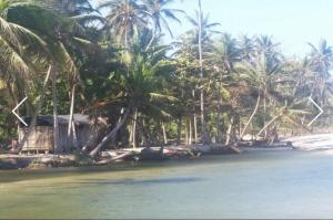 beautiful vacation home indigo palomino