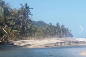 beautiful vacation home indigo palomino
