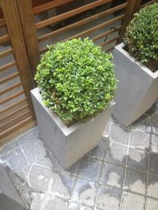 hotel elysees flaubert