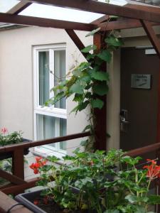 hotel elysees flaubert