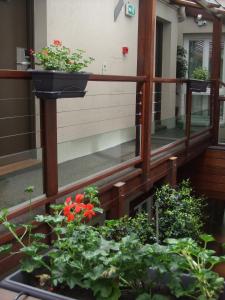 hotel elysees flaubert