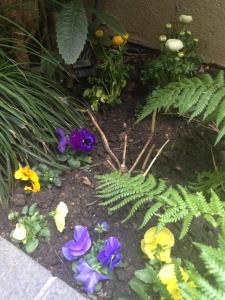 hotel elysees flaubert