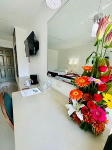 hotel plaza caribe